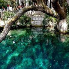大理蝴蝶泉景区