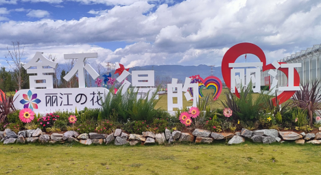 【大会赠送】丽江四季花开景区半日游