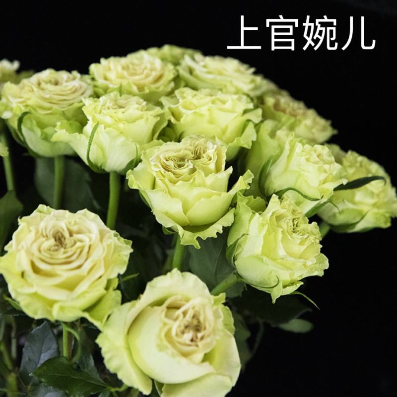 60337255bc905d5e108d08194fcf48d