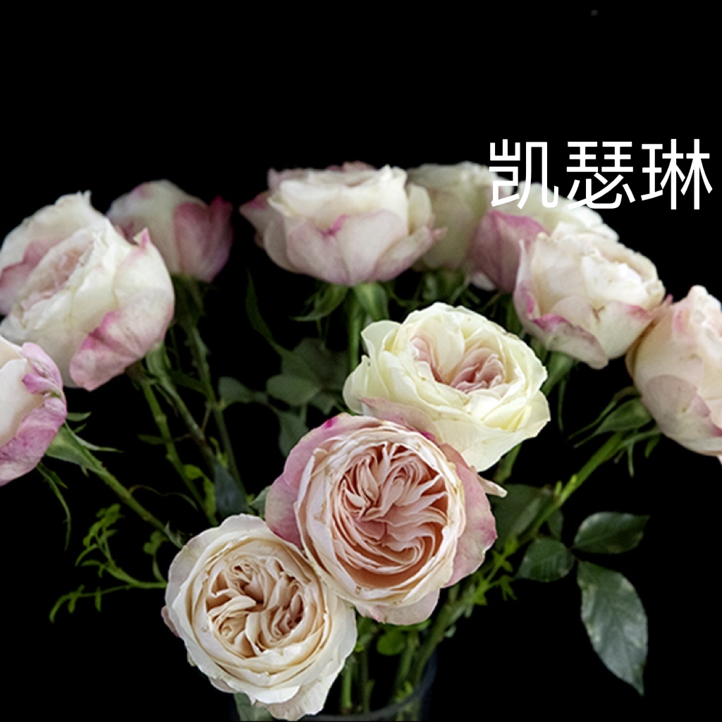 4c70c5362830fc0d42da0a85f876e30