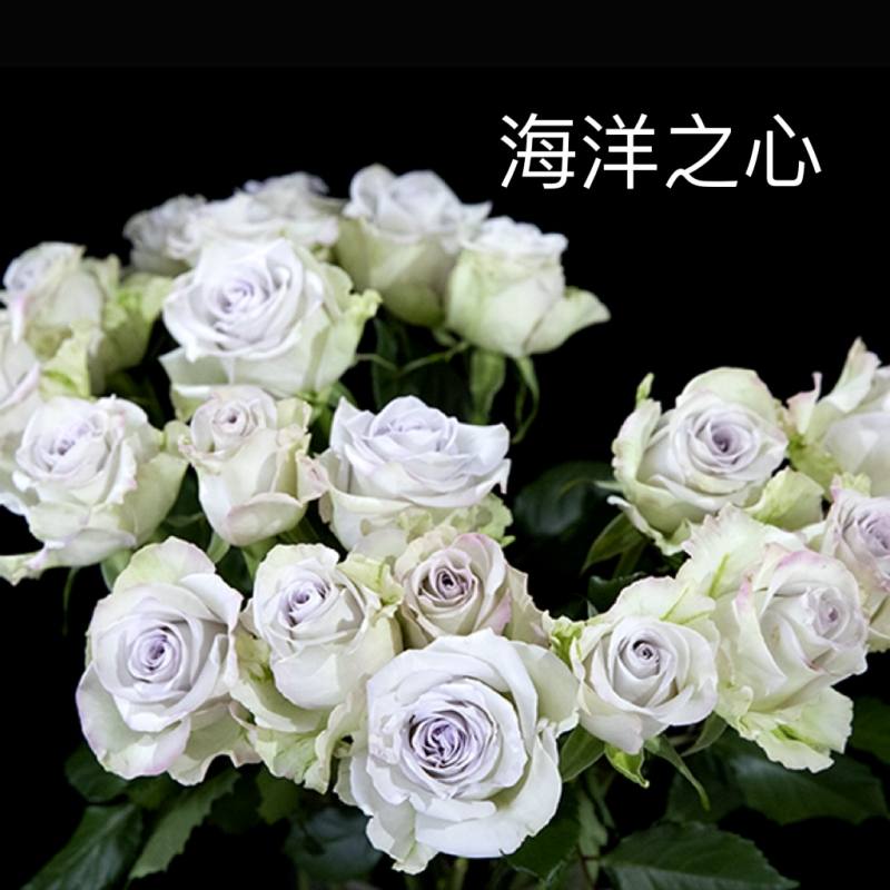 83cbdc3f757d382215a49c1b5ac8231