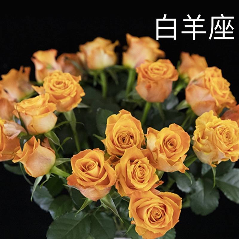5b91c4181005b2b3fb67d61c6279a0b