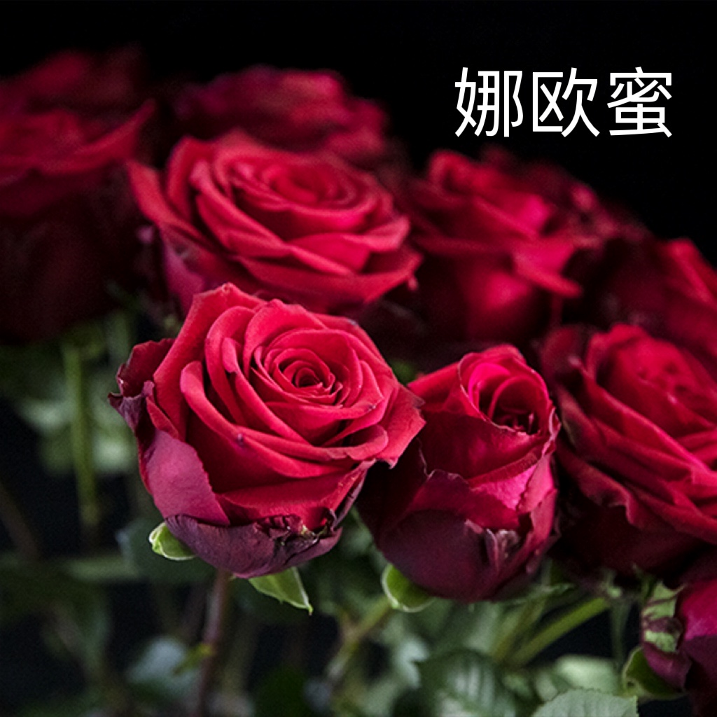 b84e4a54067453067367da42b23fa1f