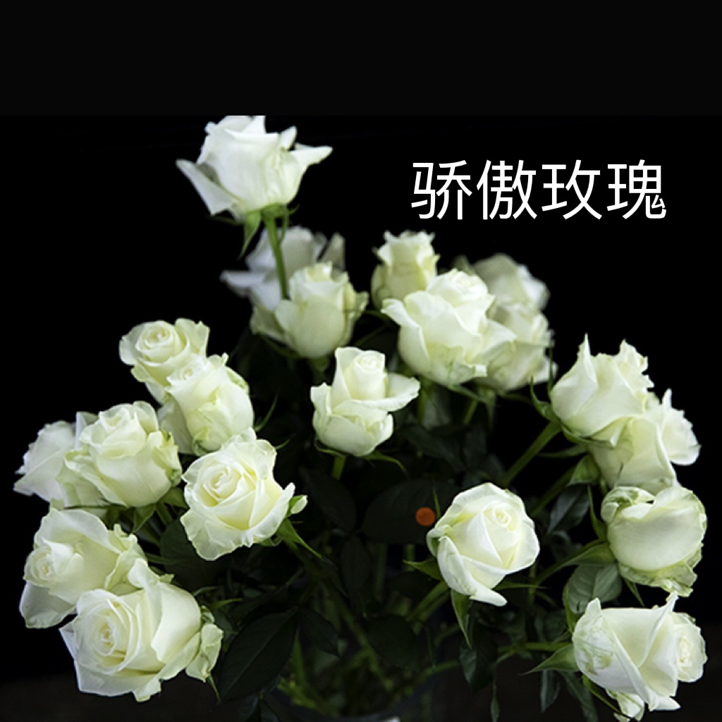 51d0cfabd897c08248223aff4478934