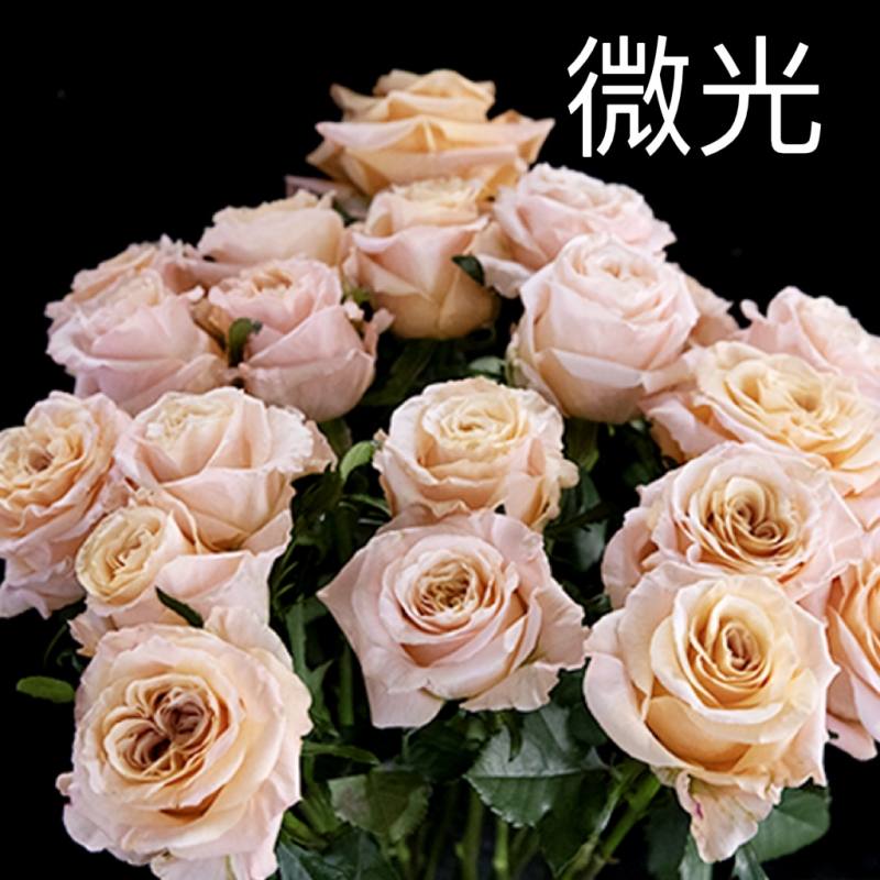 7f62879f0889c4233620413c3694729