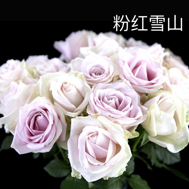 4b08a5e5d55850ade2e8967c8130468