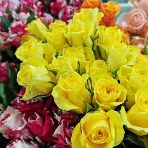 【丽江的花】特价鲜花链接