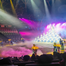 孔雀公主大剧院新傣秀歌舞剧场